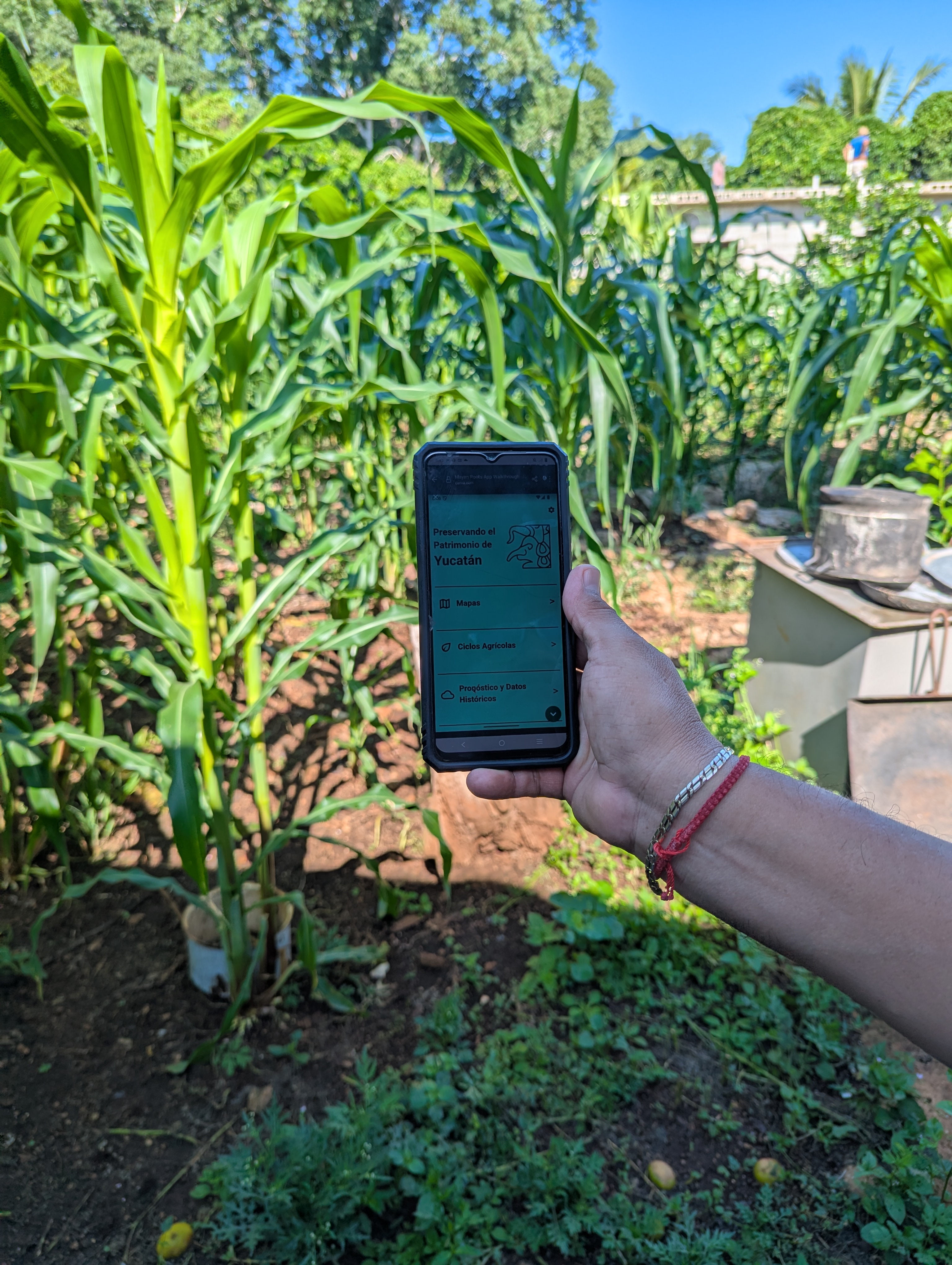 Holding up a phone with a preview of the app