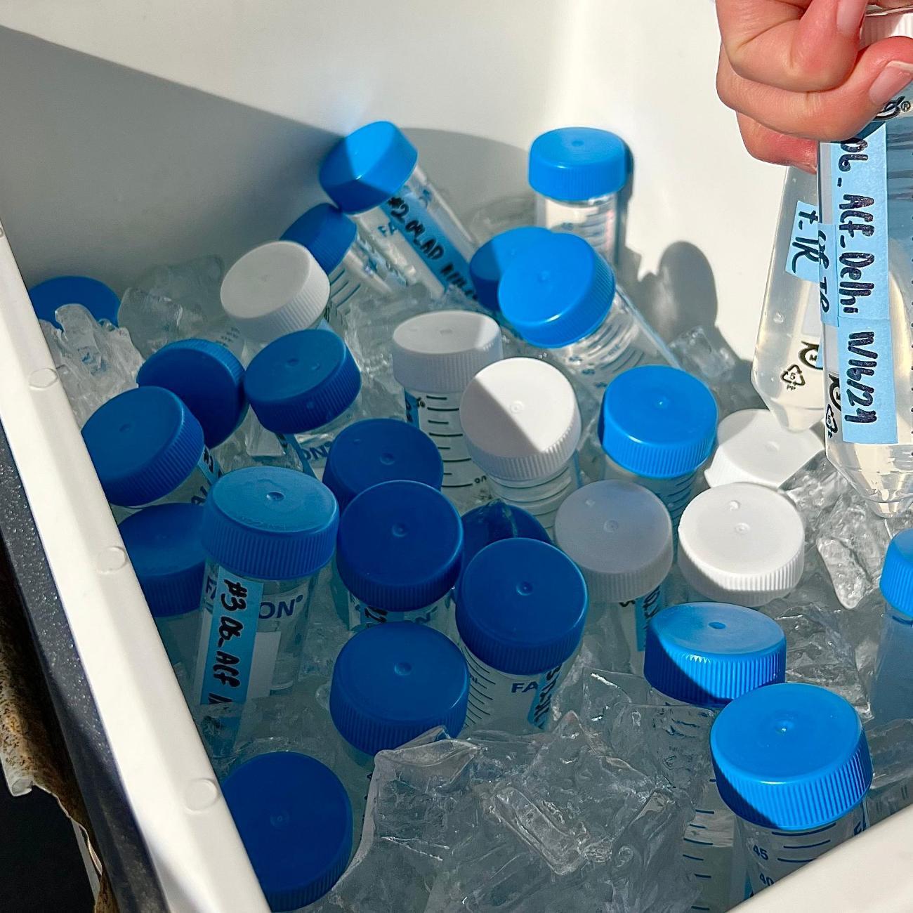 cooler full of samples 