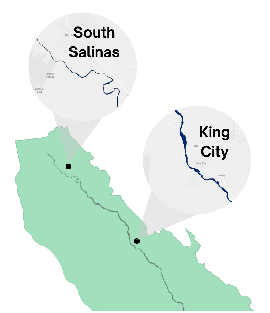 Salinas River Riparian - Study Area