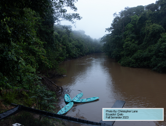 Decorative; Amazonian rainforest and river with bright blue kayaks