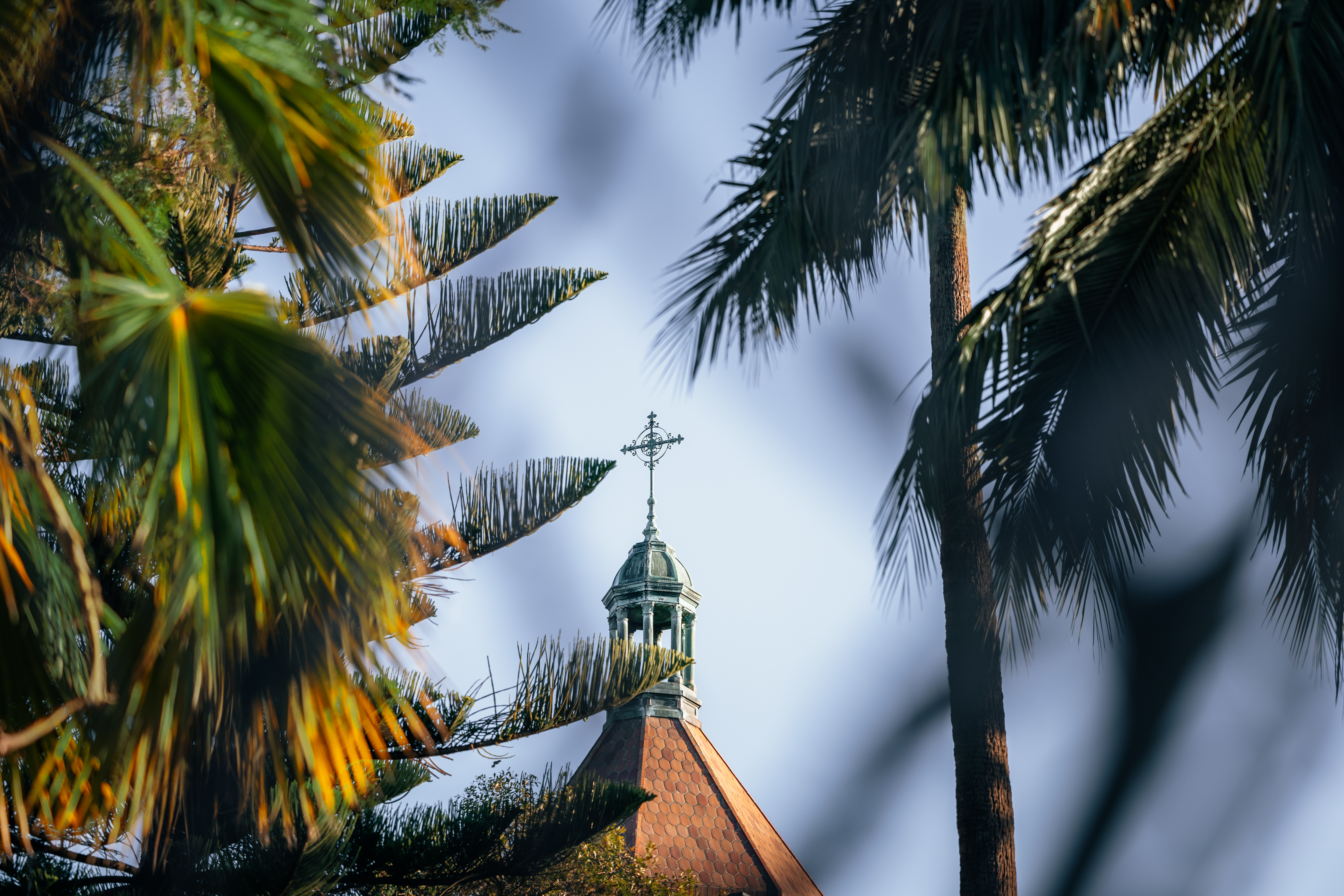 Director of Catholic Life 