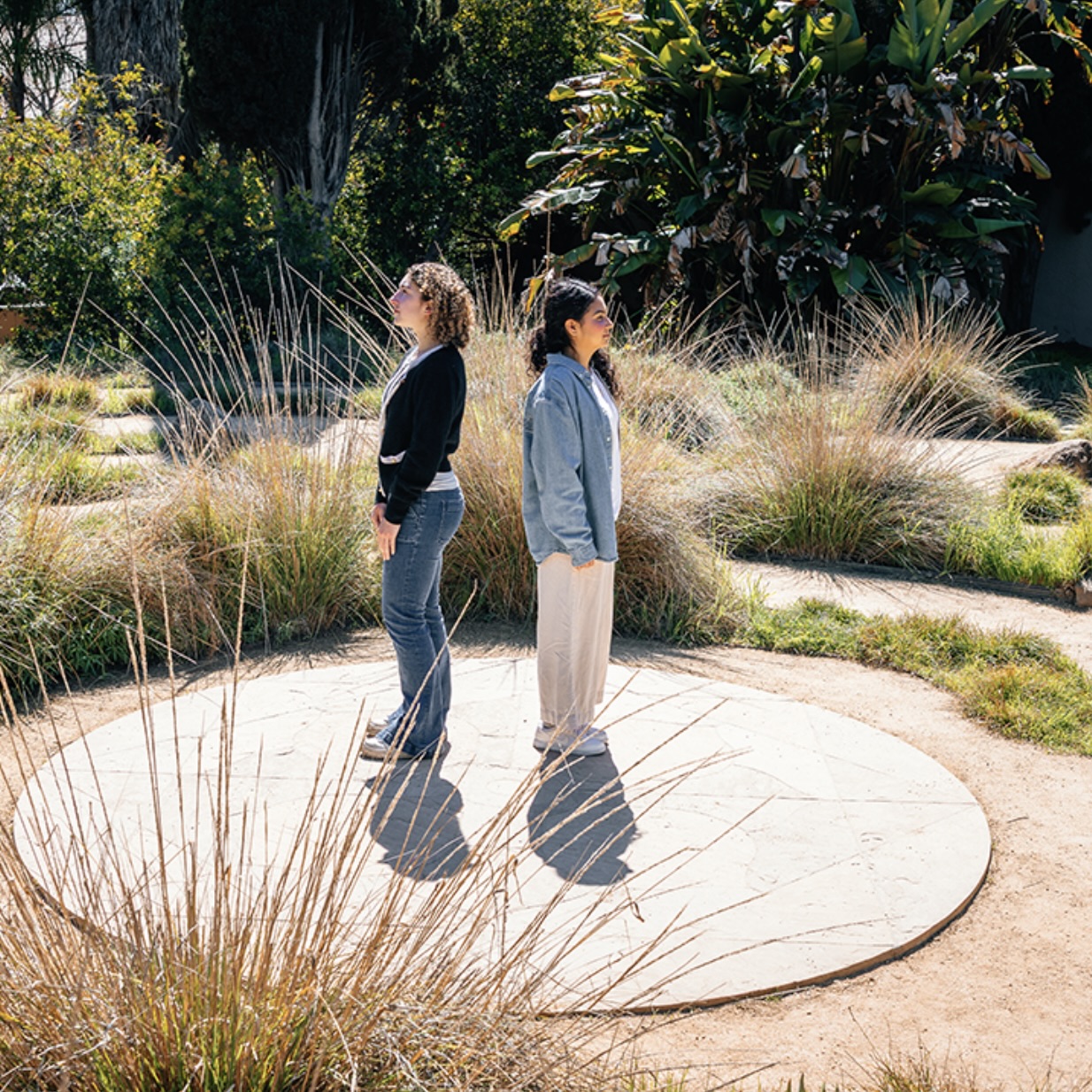 Challenging Career Anxiety - Holistically 