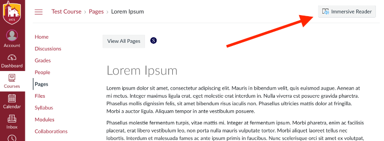 In Camino, the Immersive Reader button is pointed out at the top right of the page.