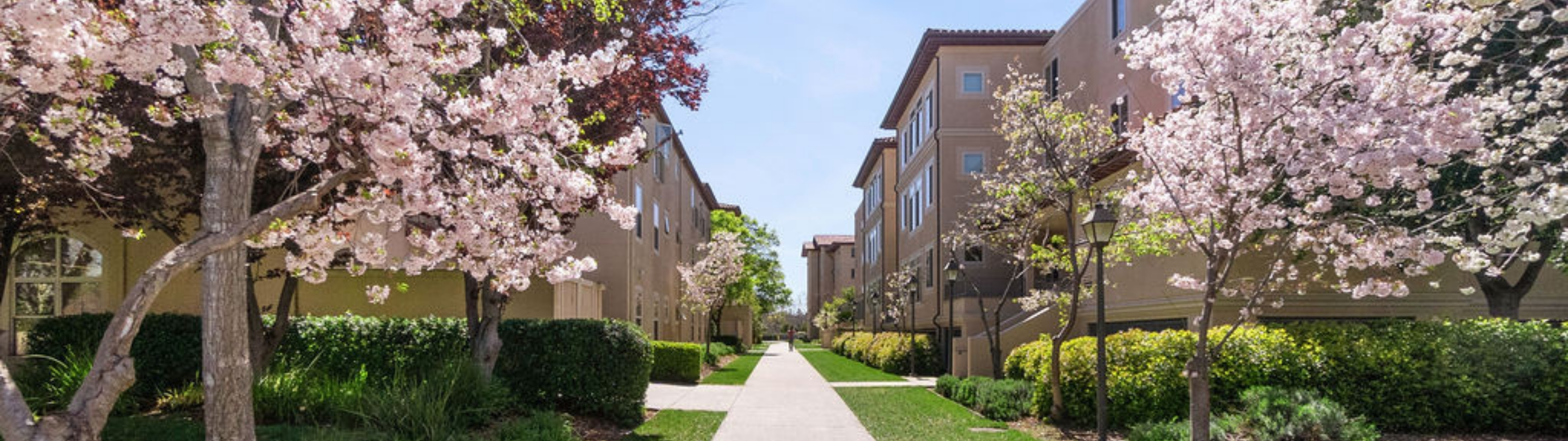 Sidewalk between Casa Italiana, Sobrato, and Finn Hall