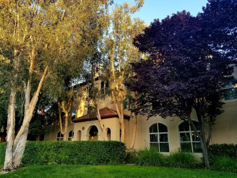 Large house with arched windows surrounded by trees in sunlight.