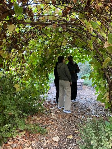 3 students standing under the forge's Grapevine Archway