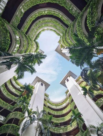 picture of green plants covering building with view of sky from inner courtyard