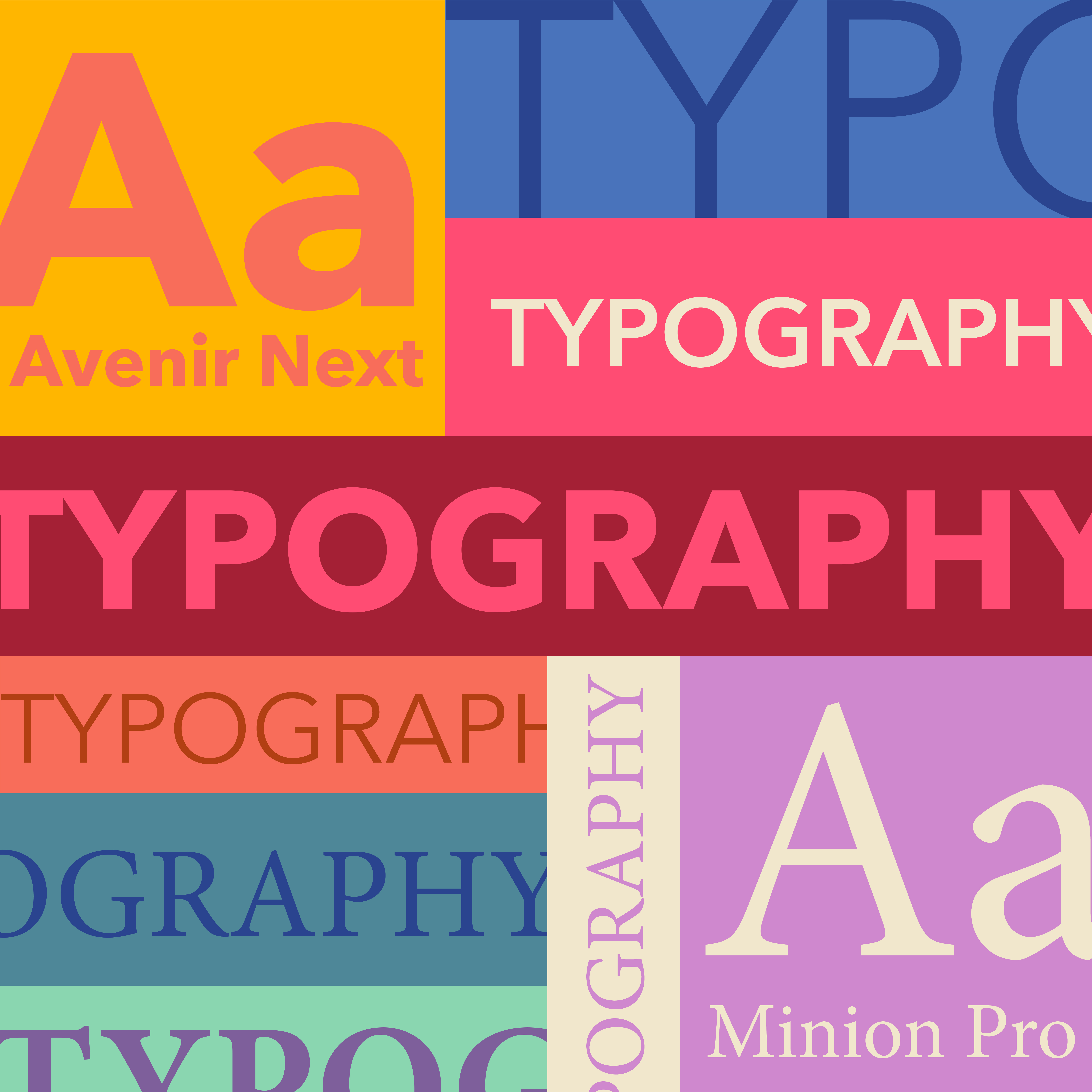 Graphic image of the words typography in different color blocks