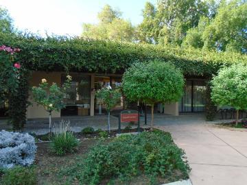 A lush garden with green plants and a patio area.