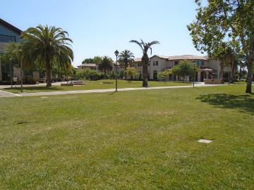 Grassy field with trees near a mall building on a sunny day.