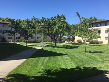 Courtyard area with well-maintained lawns, trees, and surrounding buildings.