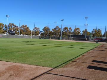 A softball field with empty stands and a clear blue sky.