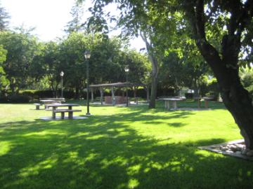 People enjoying a sunny day in Alumni Park surrounded by trees and green grass.
