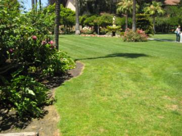 A manicured lawn with plants and trees in Mission Gardens E.