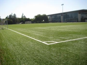 Well-maintained soccer field with goalpost and buildings in the background.