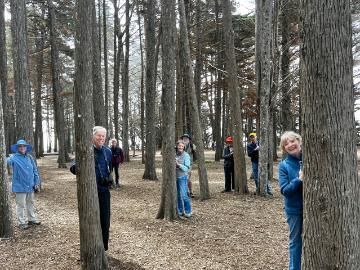 Photography SIG Picture Among the Trees