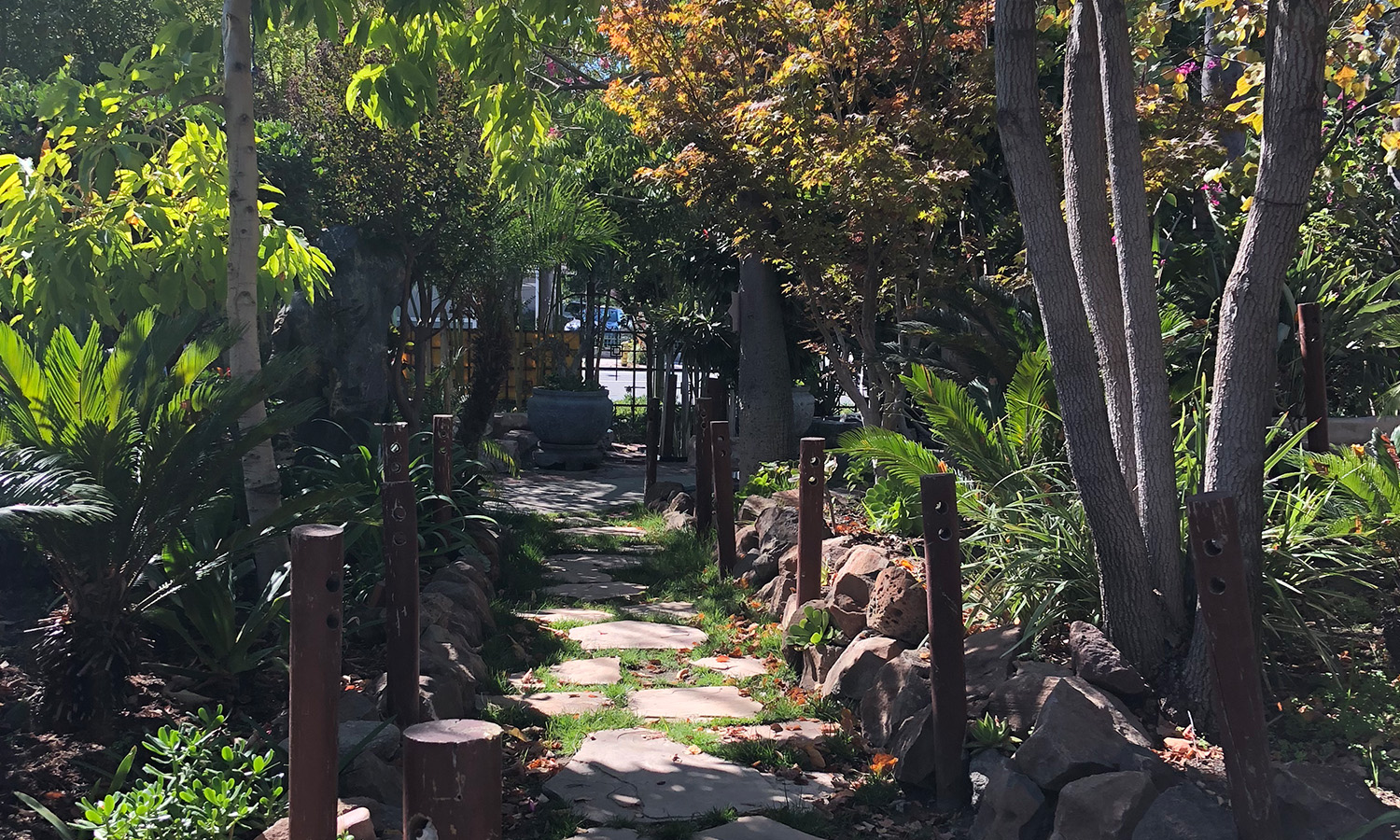 A monk walks on a stone path surrounded by lush greenery.