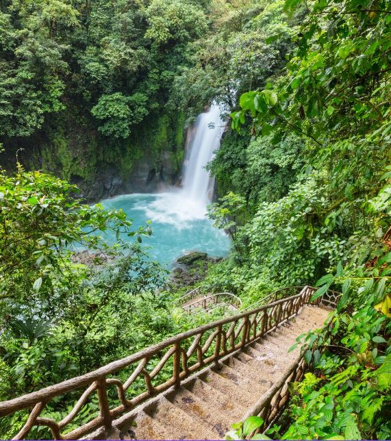 wooden steps in a tropical jungle leading to a waterfall 