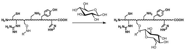 Faculty Research Projects